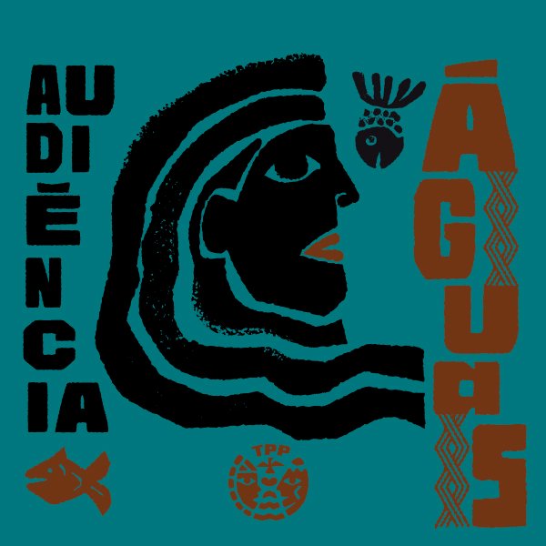 04_Audiencia_Aguas